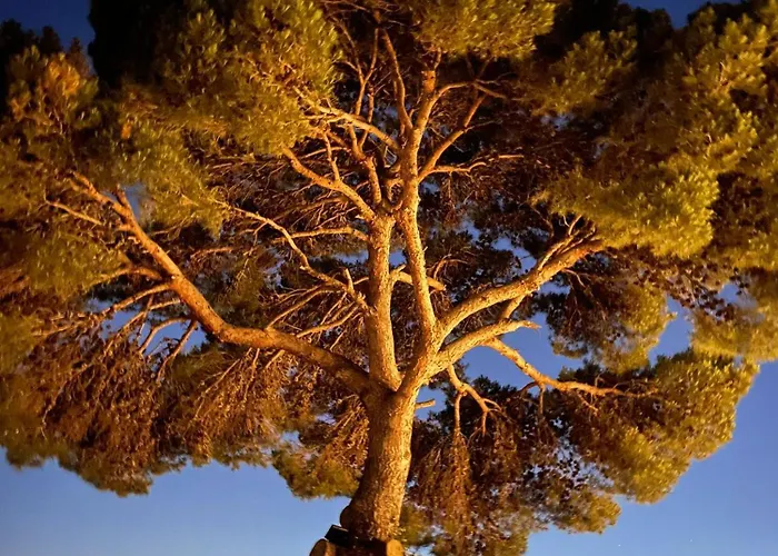 La Canostra Capri - Luxury Ad ゲストハウス